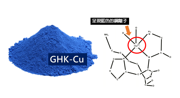 成分解析_藍銅胜肽是皮膚再生的天然調節劑